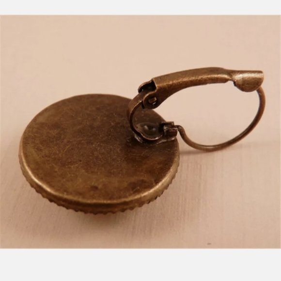 New Scarlet Macaw Glass Cabochon Bronze Lever Back Earrings. - Picture 3 of 3